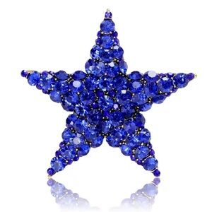 Royal Star Blue Crystal Brooch